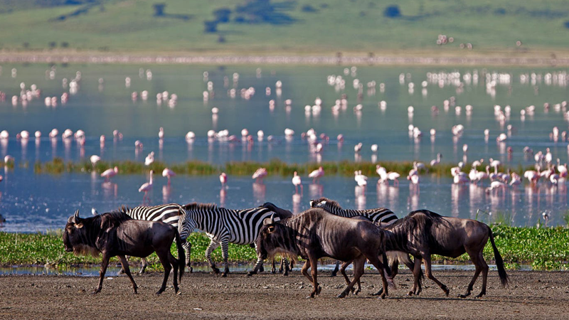 Lake-Manyara-national-park