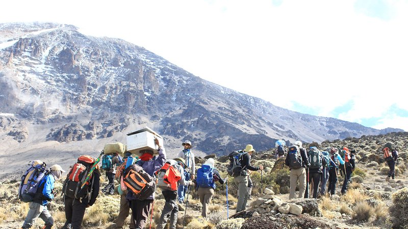 Mount-Kilimanjaro-Lemosho-route-8-days-img