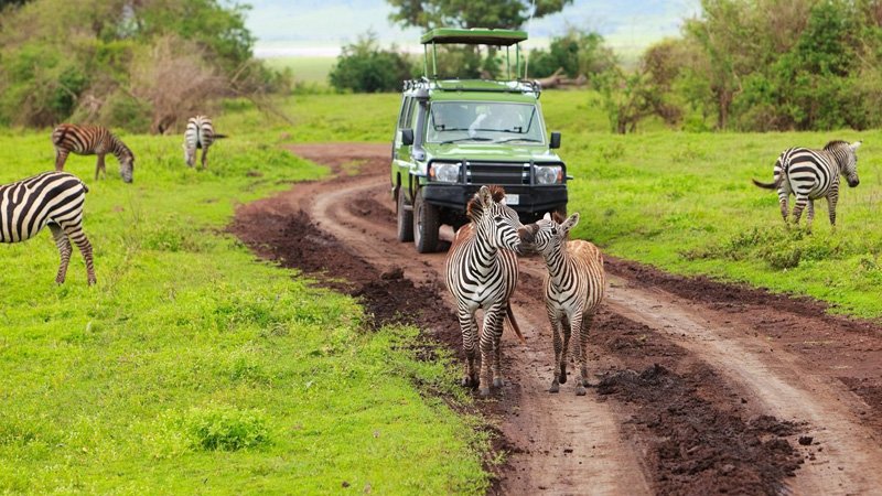 Ngorongoro-Crater-Day-Trip-Banner