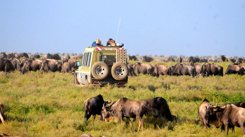 Northern-Tanzania