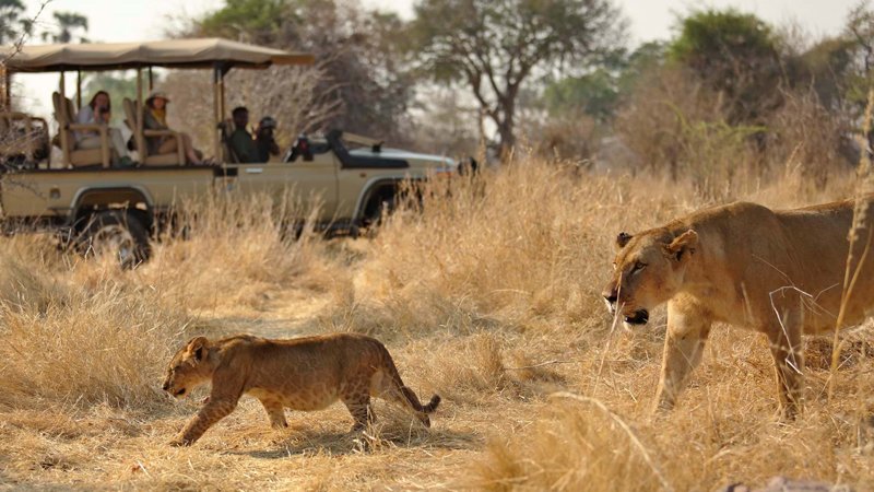 Ruaha-National-Park-img