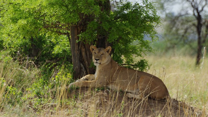 Southern-Tanzania