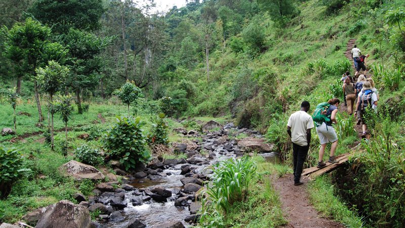 Waterfalls-and-Coffee-Tour-Banner