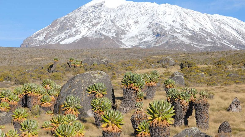 Mt-Kilimanjaro-National-Park-Banner